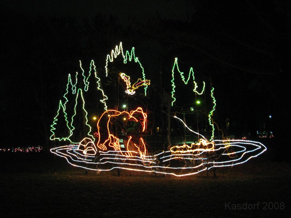 Toledo Zoo Lights 2008 057.jpg - The regular visit to the Toledo Ohio Zoo to see the Christmas Lights displays. New this trip were the "Dancing Lights", displays flashing in time with the Christmas Songs.